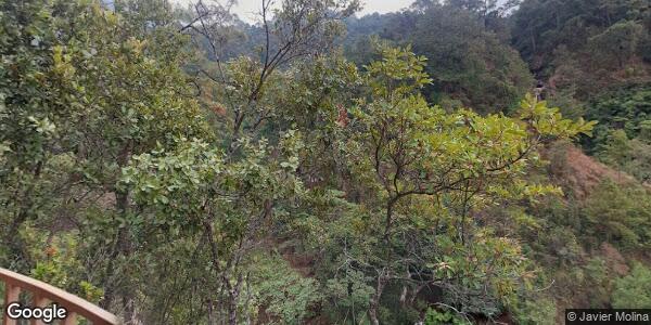 H AYUNTAMIENTO MUNICIPAL DE ILIATENCO